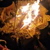 thatviiiking