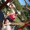 anacarlavidigal