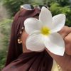 garam_0908