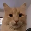 martinezkeks
