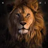 lionofgod973