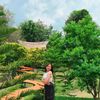 ttantawan_b0319