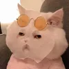 yorrananicole