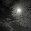 mariam_boraik55