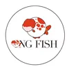 shopcacanhongfish