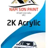 namsonpaint