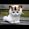 soojinnur