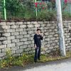 luancomback