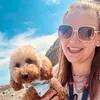 biscuit.theminipoodle