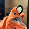 piwwmaximoff