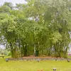 buihoai1983
