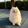 nhuquynh__05