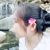 lmdiuthun