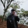 ping_han