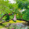phamhuyen0215