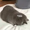 tamtits97
