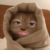 usernotfound22xx