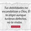 user8500691542477