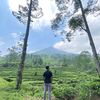 krisna_almachzumi8