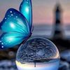freebutterfly26