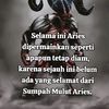 al_star444