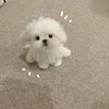 _nhaxlynhi10_