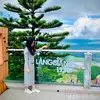 luongoanh25
