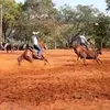 betosts