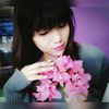 mlina75611