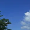 abzyxx_