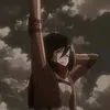 mikasa_all
