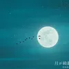 nezucheeeeeeese