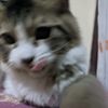 _abcdefand