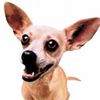 kierotaco
