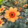 phamphuongthao_89