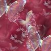 radishgirlea