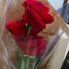 mariaaraujo306