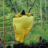 raasathi11