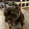 _bebe_550
