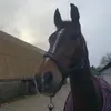 minouu_08