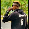 nesh86_