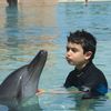 youssefhajjar33