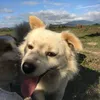 ngchu5