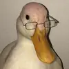 kgbietboi