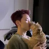 ksy.h