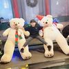 richard_77n