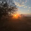jota.amassa