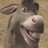 ponossovaa