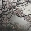 asm4e_