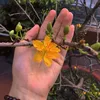 thanhhuyendo_90